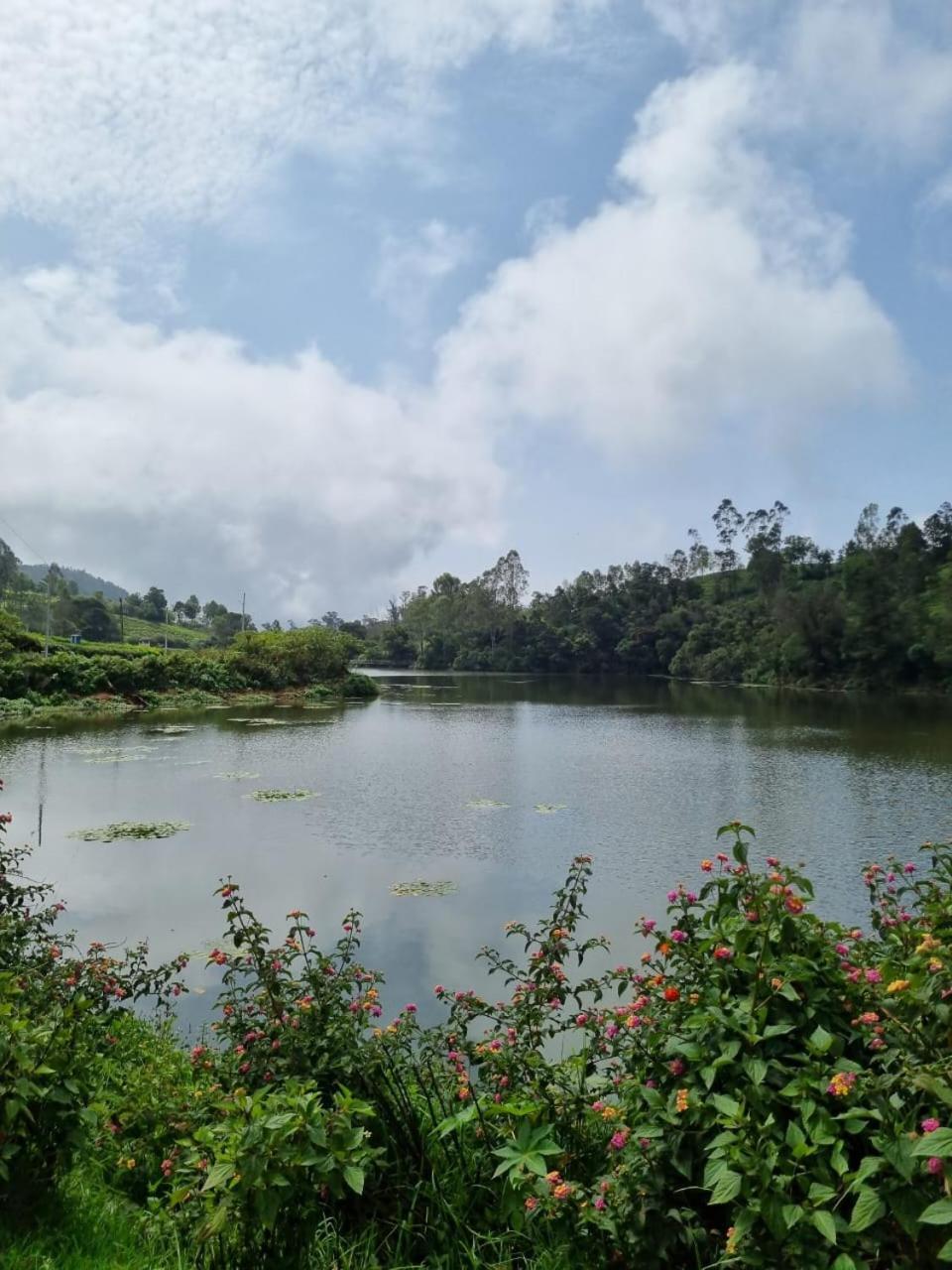 Camellia Heights 1&2 Bed & Breakfast Coonoor Bagian luar foto