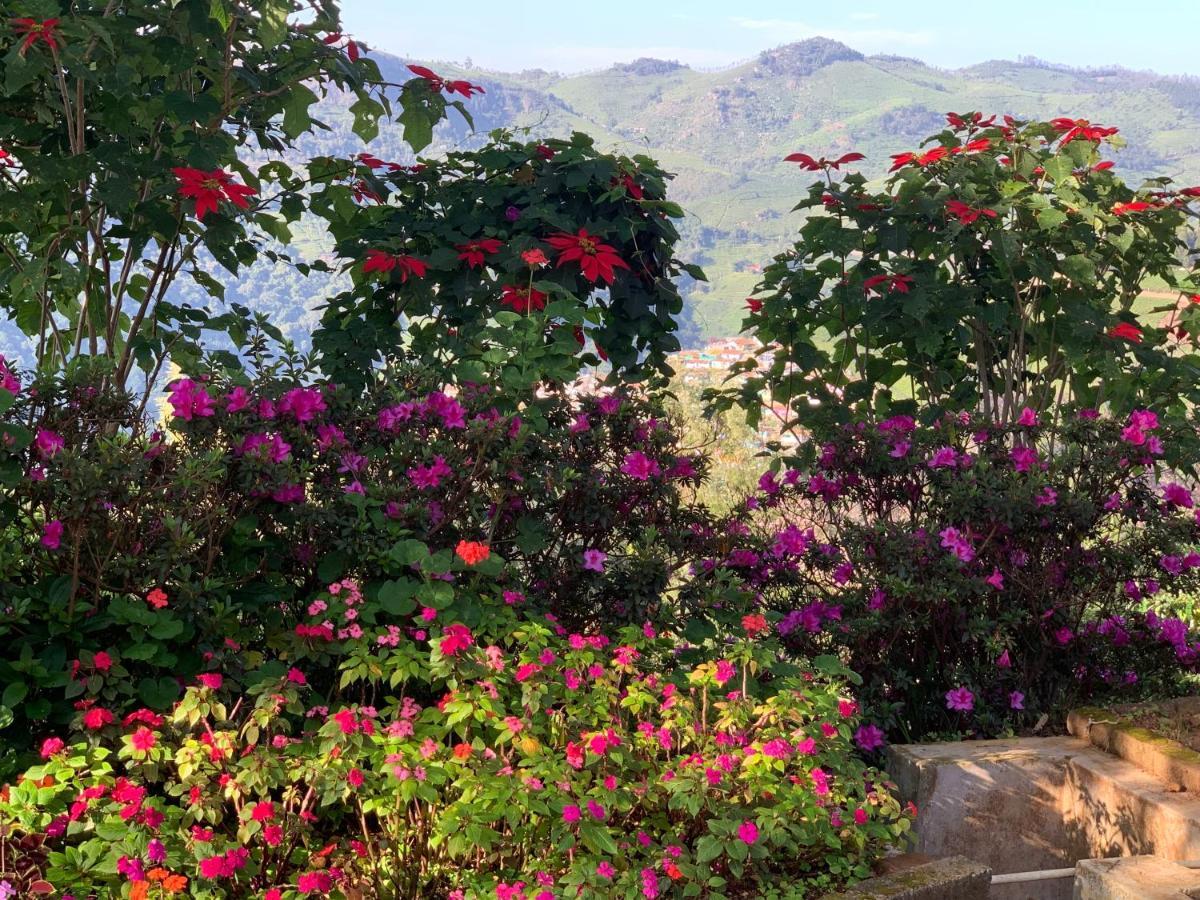 Camellia Heights 1&2 Bed & Breakfast Coonoor Bagian luar foto